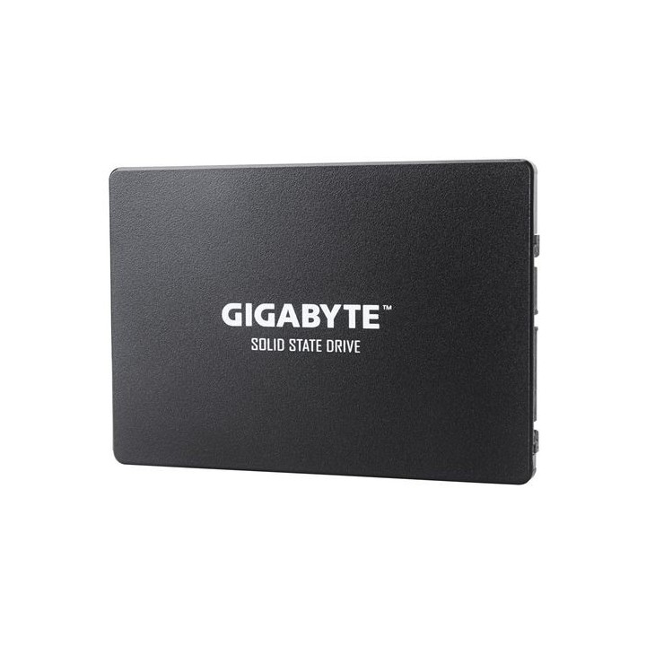 GIGABYTE SSD GP-GSTFS31240GNTD 240GB
