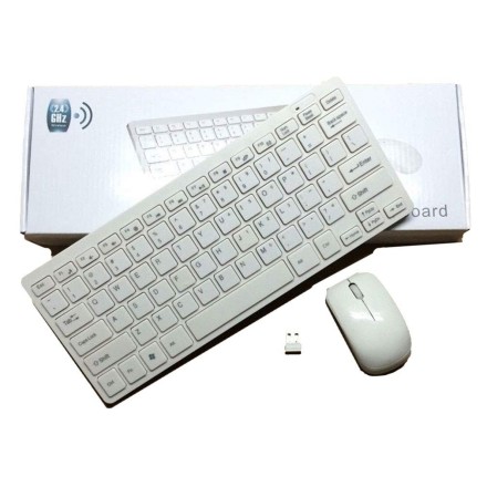 Terabyte 2.4Ghz Wireless Mini Keyboard and Mouse Combo for Windows OS Laptops with USB Support (White)