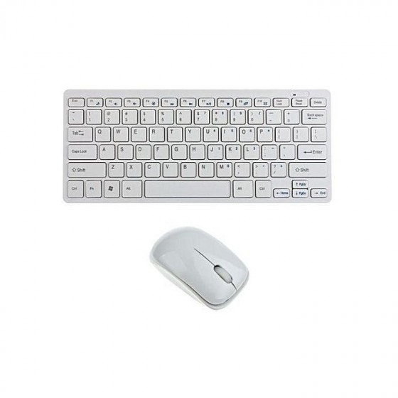 Terabyte 2.4Ghz Wireless Mini Keyboard and Mouse Combo for Windows OS Laptops with USB Support (White)