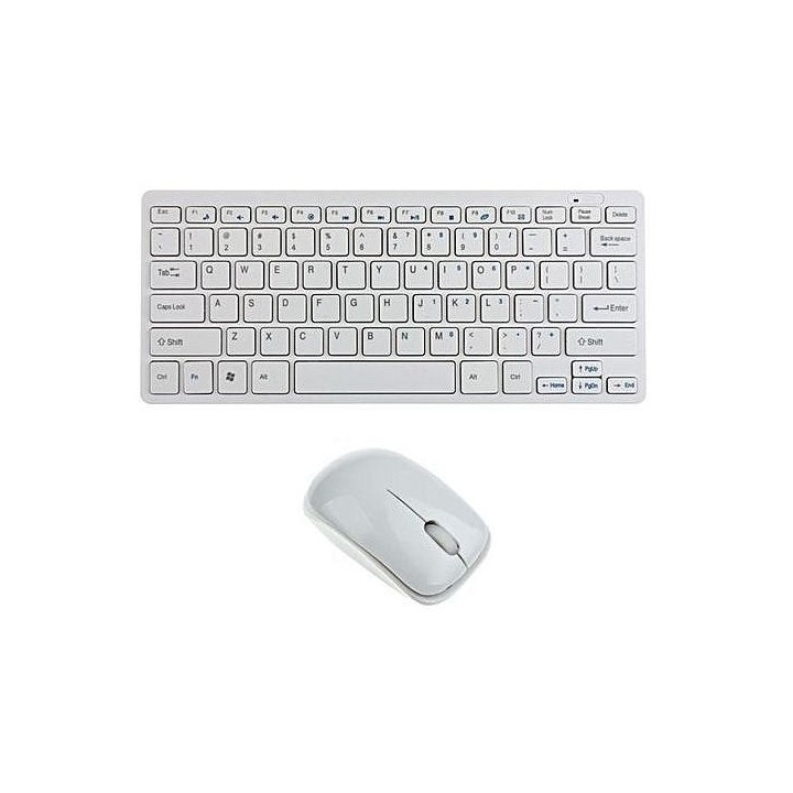 Terabyte 2.4Ghz Wireless Mini Keyboard and Mouse Combo for Windows OS Laptops with USB Support (White)