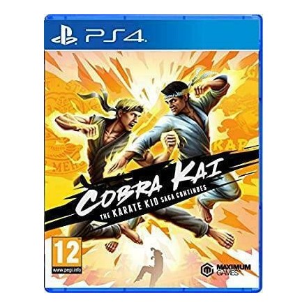 Cobra Kai The Karate Kid Saga Continues PS4 GAMES