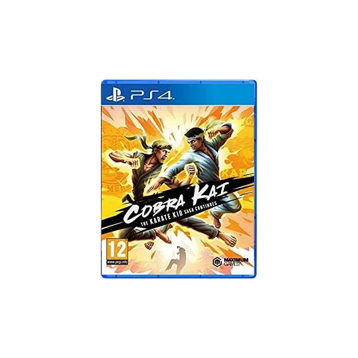 Cobra Kai The Karate Kid Saga Continues PS4 GAMES