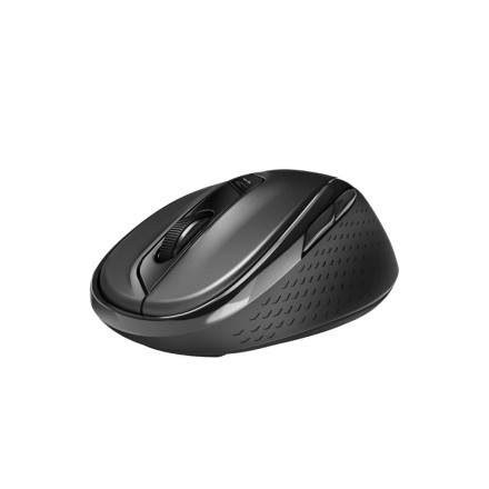Rapoo M500 Wireless Optical Mouse Multi-mode Silent (18404) Black