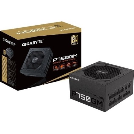 Gigabyte GP-P750GM 750W Full Modular 80 Plus Gold (GP-P750GM)
