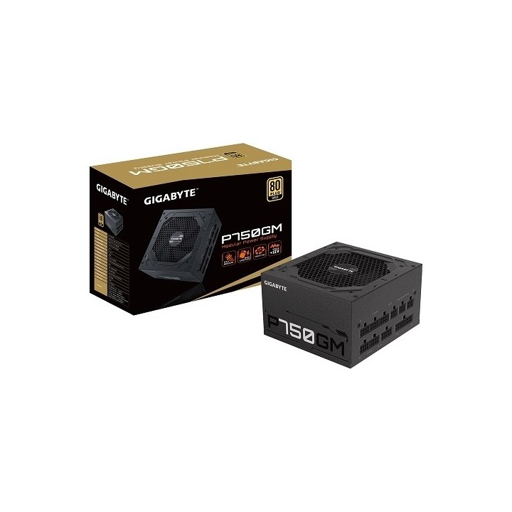 Gigabyte GP-P750GM 750W Full Modular 80 Plus Gold (GP-P750GM)