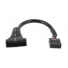 POWERTECH καλώδιο USB 2.0 9pin σε USB 3.0 20pin, 0.20m
