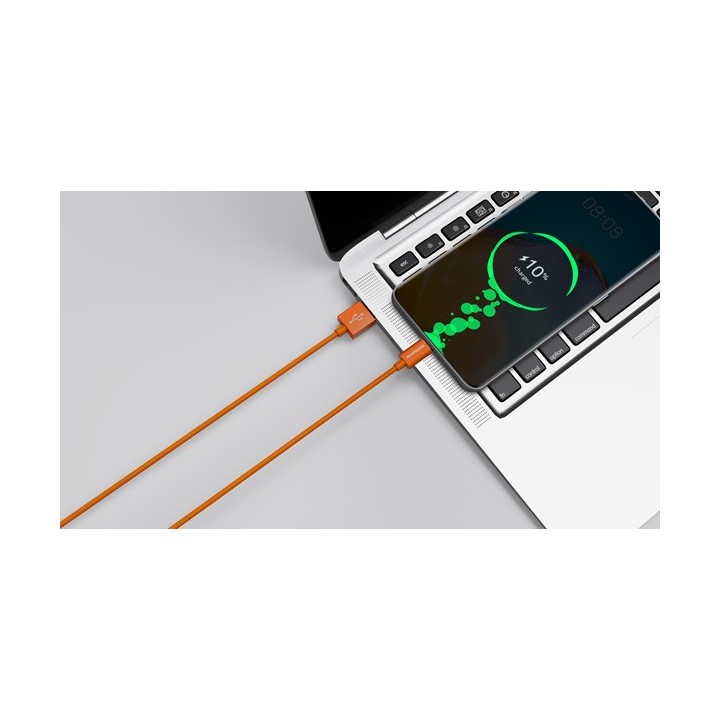 Riversong Lotus 08 USB 2.0 Cable USB-C male - USB-A male Πορτοκαλί 1.2m (CT71O)