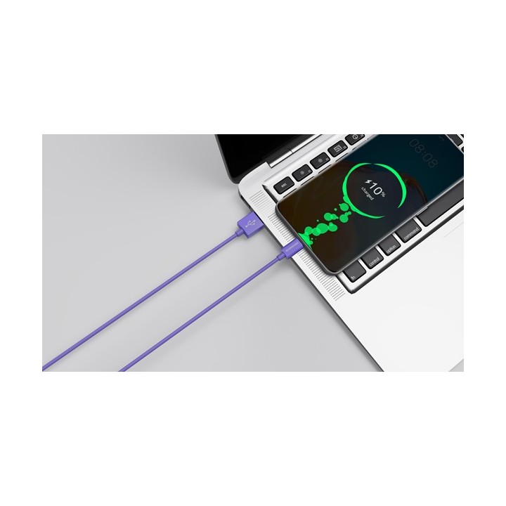 Riversong Lotus 08 USB 2.0 Cable USB-C male - Μωβ 1.2m (CT71PU)