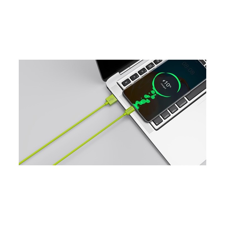 Riversong Lotus 08 USB 2.0 Cable USB-C male - USB-A male Πράσινο 1.2m (CT71G)