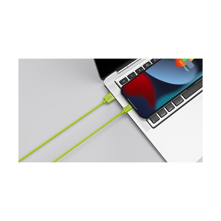 Riversong Lotus 08 USB to Lightning Cable Πράσινο 1.2m (CL71G)
