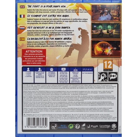 Cobra Kai The Karate Kid Saga Continues PS4 GAMES