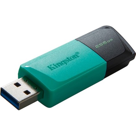 Kingston Dataraveler Exodia M 256GB USB 3.2 Gen 1 (DTXM/256GB) (KINDTXM/256GB)
