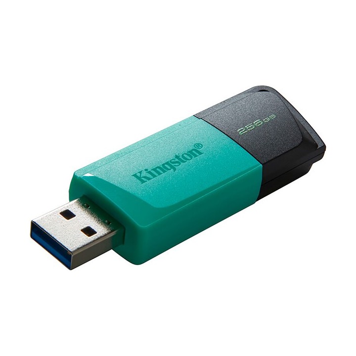 Kingston Dataraveler Exodia M 256GB USB 3.2 Gen 1 (DTXM/256GB) (KINDTXM/256GB)