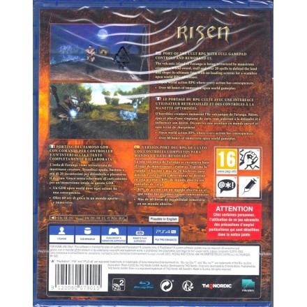 Risen PS4 Game