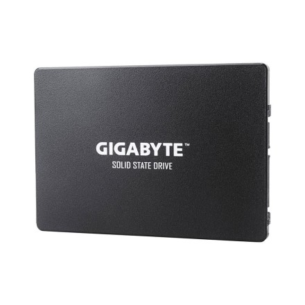 Gigabyte SSD 2.5 256GB (GP-GSTFS31256GTND) (GIGGPGSTFS31256GTND)