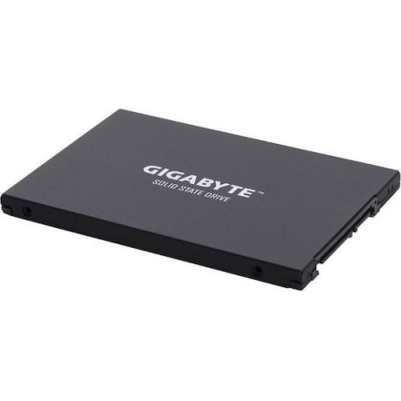 Gigabyte SSD 2.5 256GB (GP-GSTFS31256GTND) (GIGGPGSTFS31256GTND)