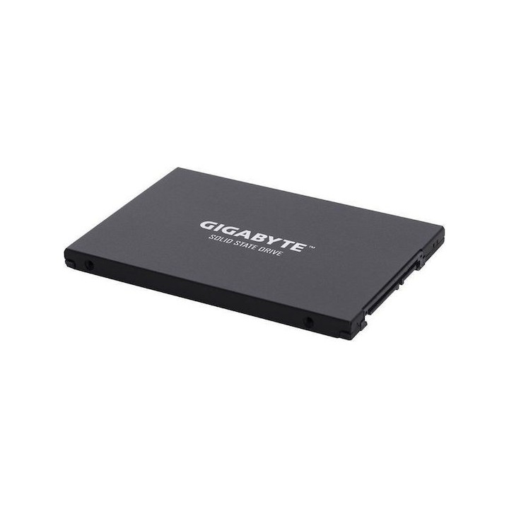 Gigabyte SSD 2.5 256GB (GP-GSTFS31256GTND) (GIGGPGSTFS31256GTND)