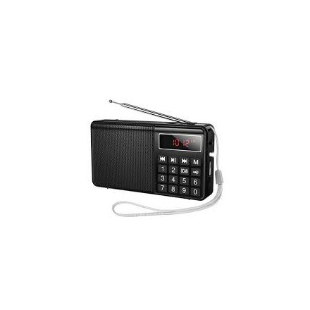 Hoco Mult Function Portable Radio with AM+FM Dual Mode (HI50)