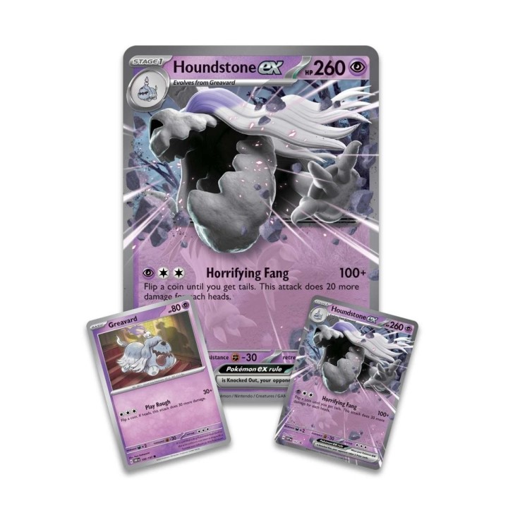 Pokemon Deck Houndstone Ex Box