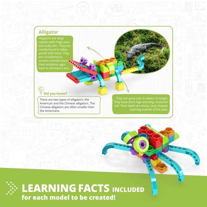 Engino QBOIDZ- Alligator STEM Building Toys for Kids Ages 3+ (5 Models to Build)QB40