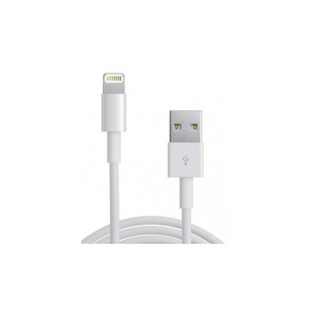 EAXUS καλώδιο USB 2.0 Α to IPAD & I PHONE 5 για μεταφορά αρχείων και φόρτιση 1,2m