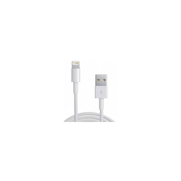 EAXUS καλώδιο USB 2.0 Α to IPAD & I PHONE 5 για μεταφορά αρχείων και φόρτιση 1,2m