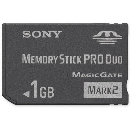 Sony 1 GB Memory Stick PRO Duo Flash Memory Card MSMT1G