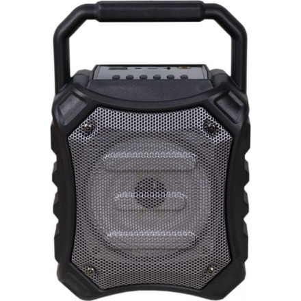 HXEIO BLUETOOTH 5W KARAOKE W/FM RADIO OMEGA OG81B