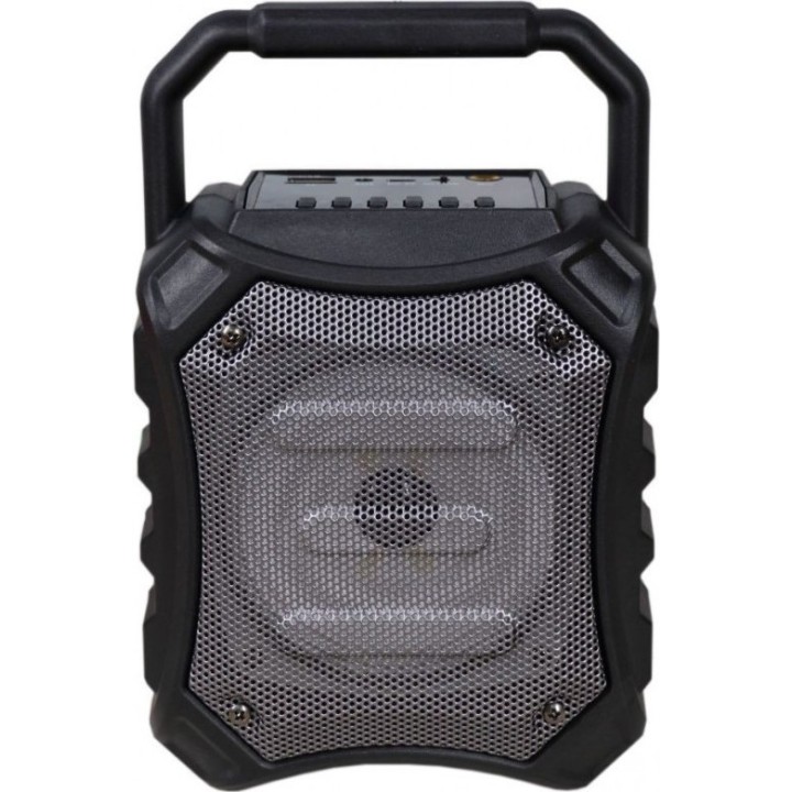 HXEIO BLUETOOTH 5W KARAOKE W/FM RADIO OMEGA OG81B